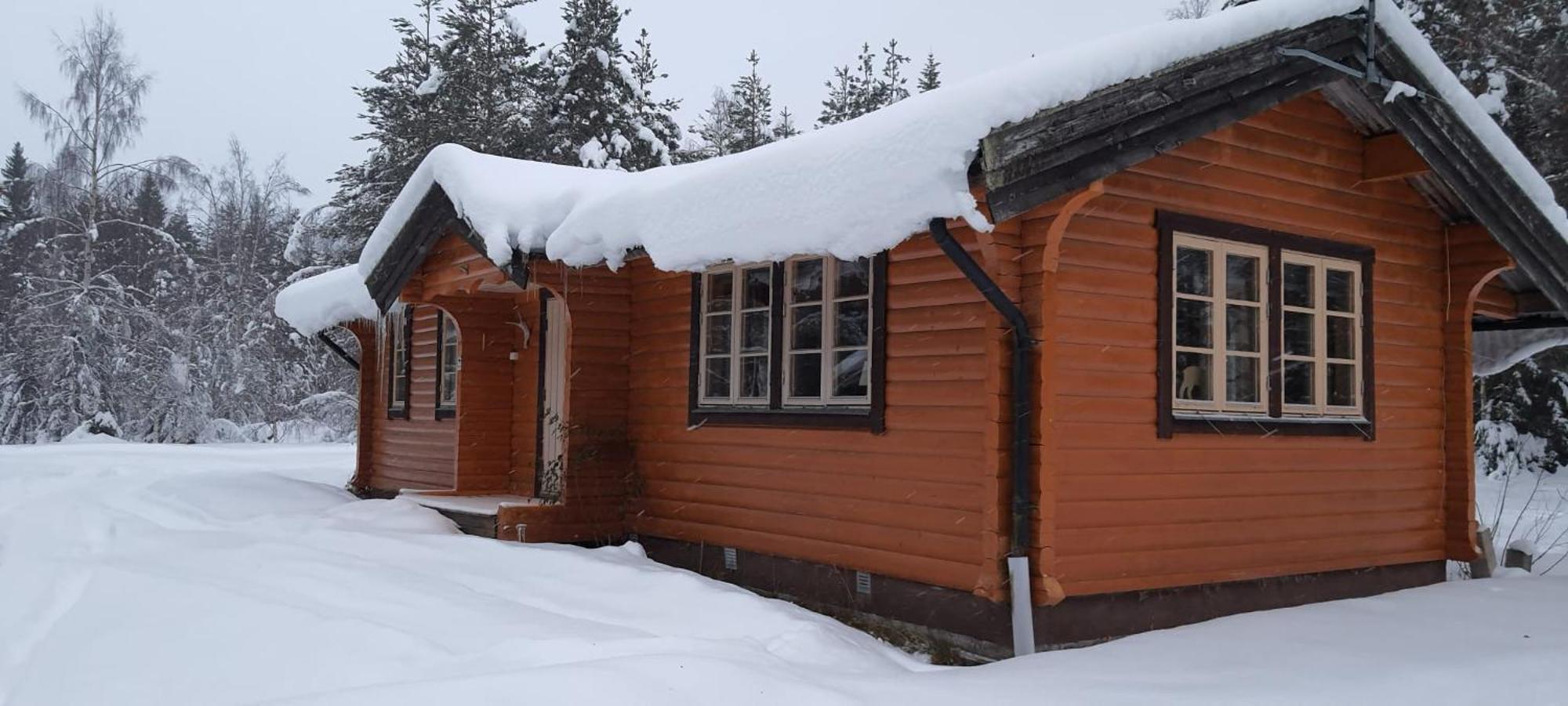 Hotel Wildlife Sweden Camp Ängra Lassekrog Exterior foto